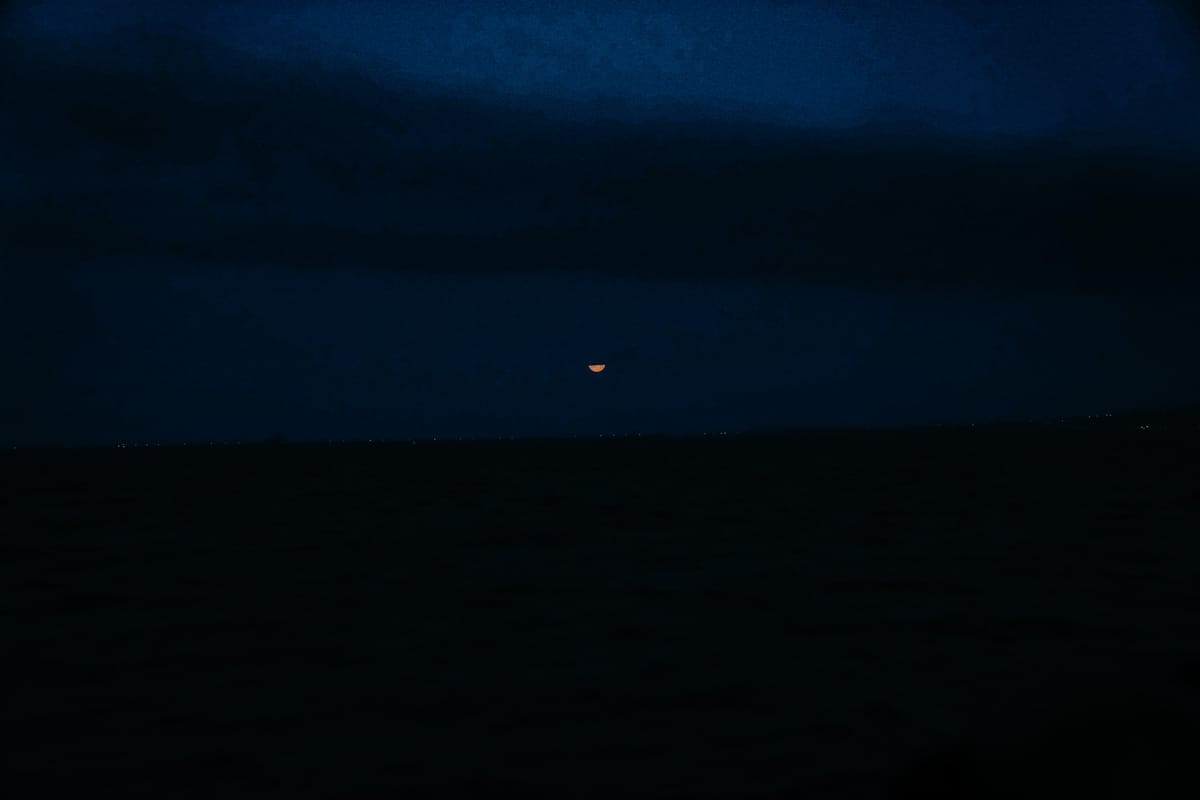 Beware of flying fish at night